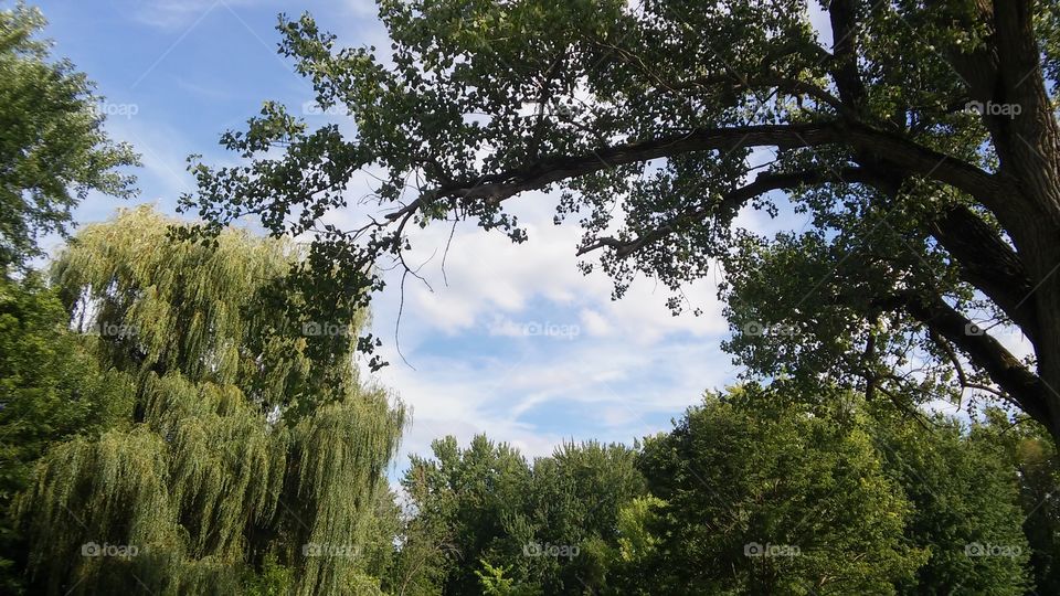 Riverside Park views