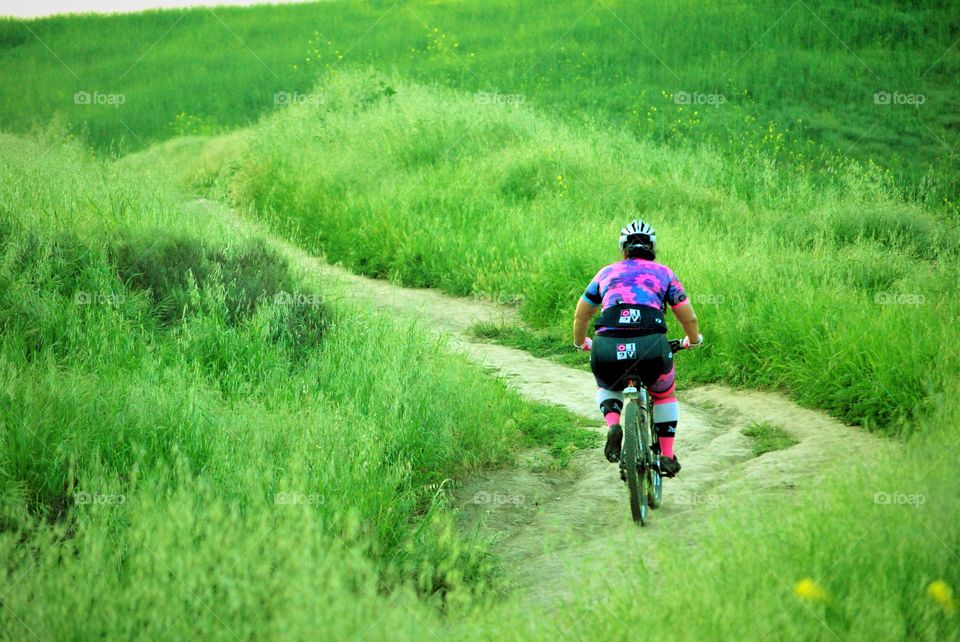 biking uphill in spring