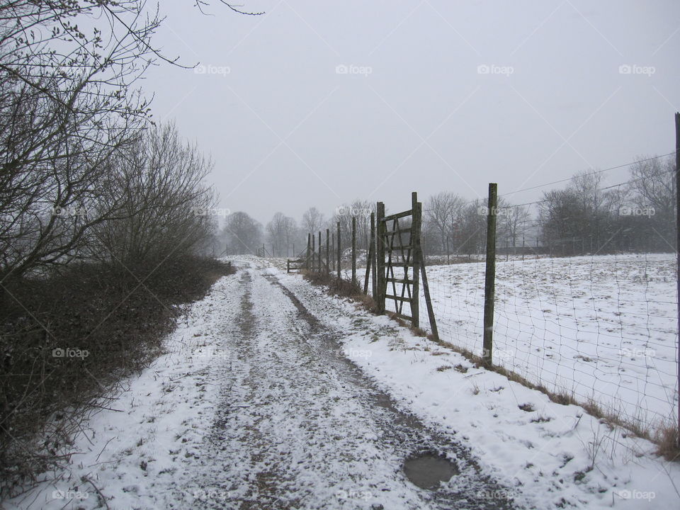 Snowy Track