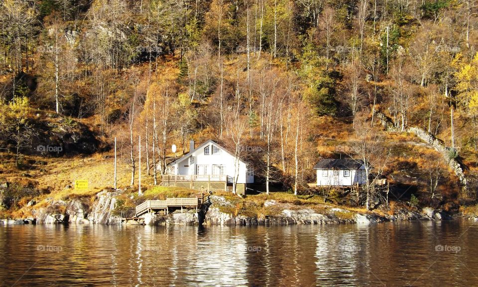 Fjord-side cabins 