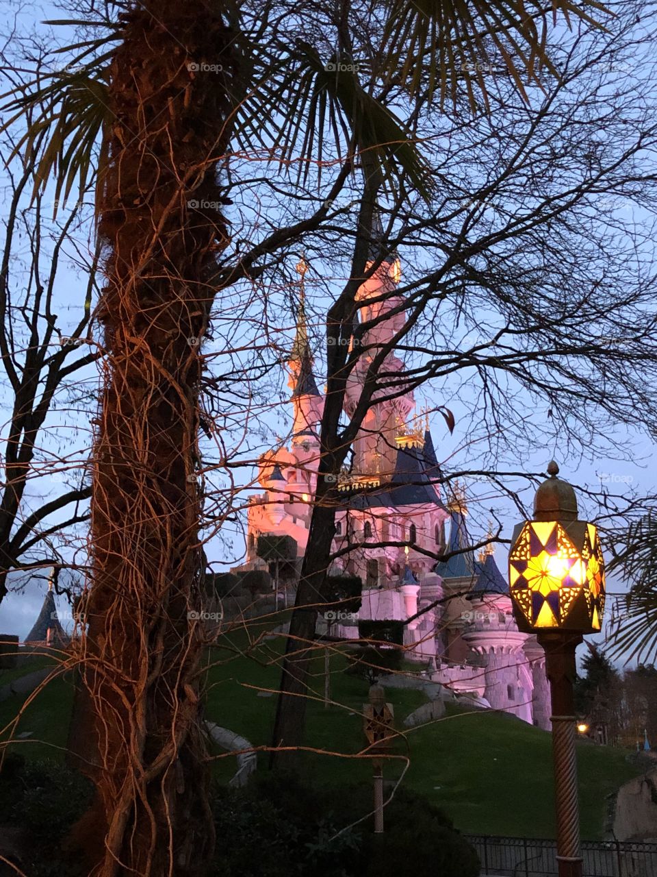 Castle Disneyland Paris