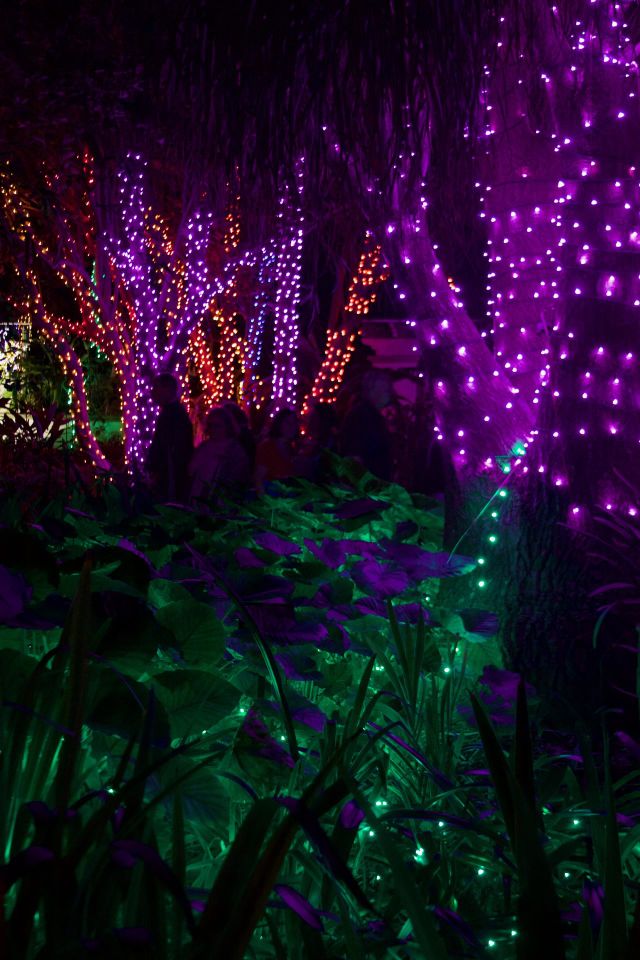 Christmas Lights in the Gardens