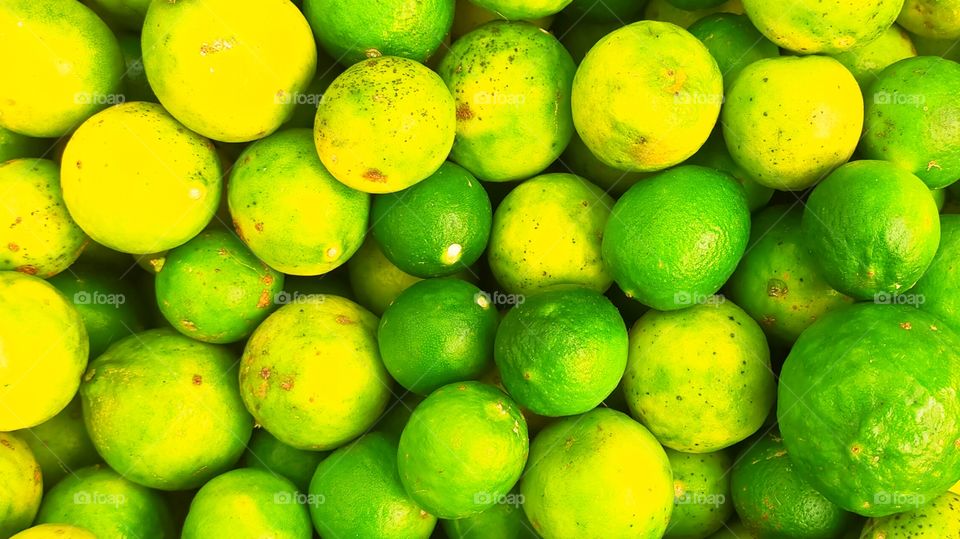 Lemon is the most wanted fruit for us as it having various medicinal values.