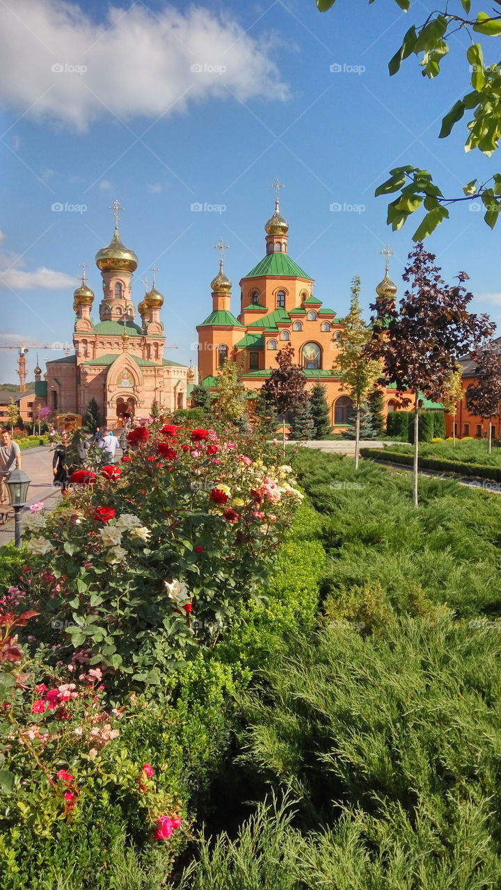 church and roses