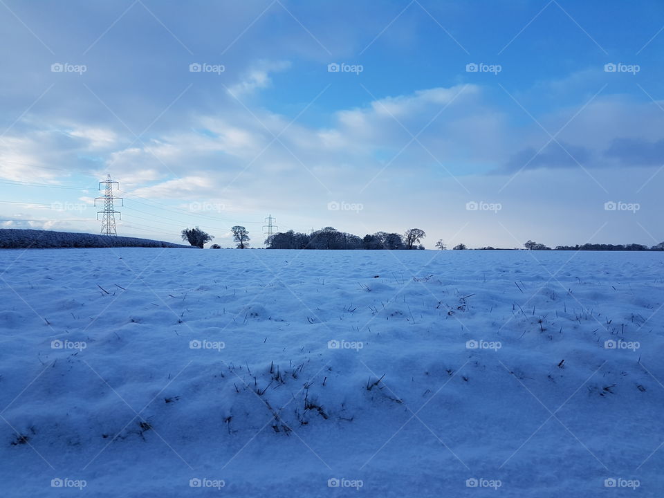field covered in snow