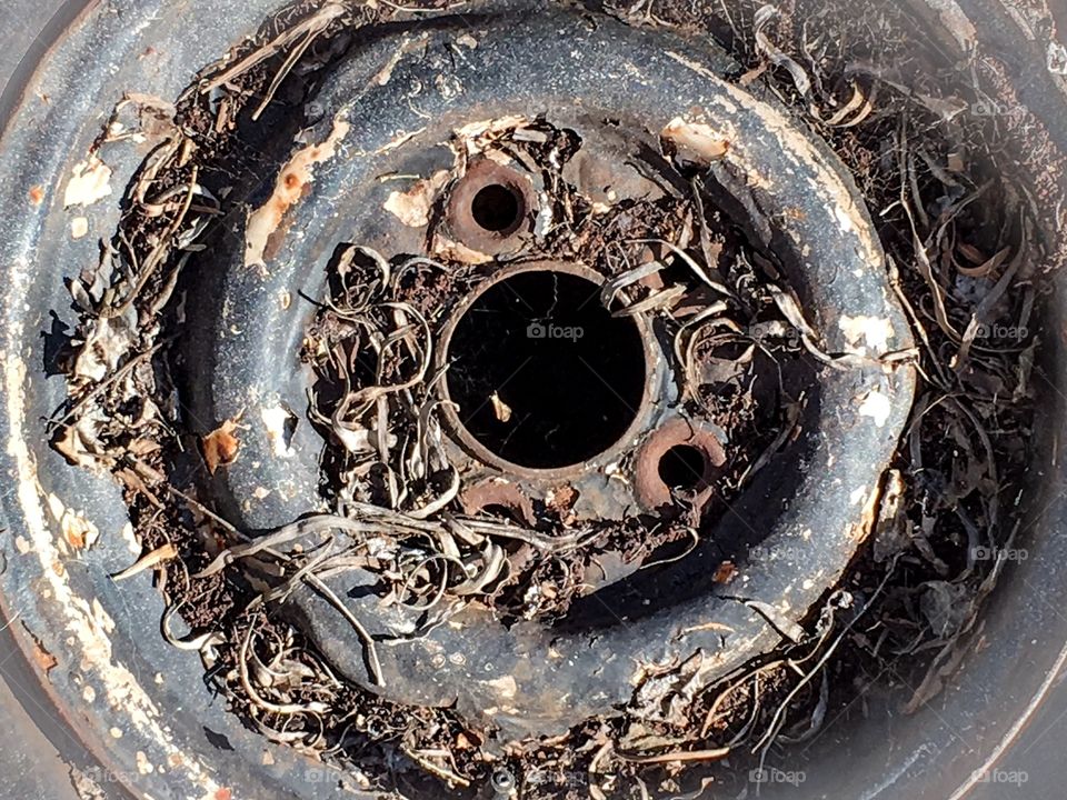 Vintage spare tire rusty old, cobwebs, leaves abandoned 