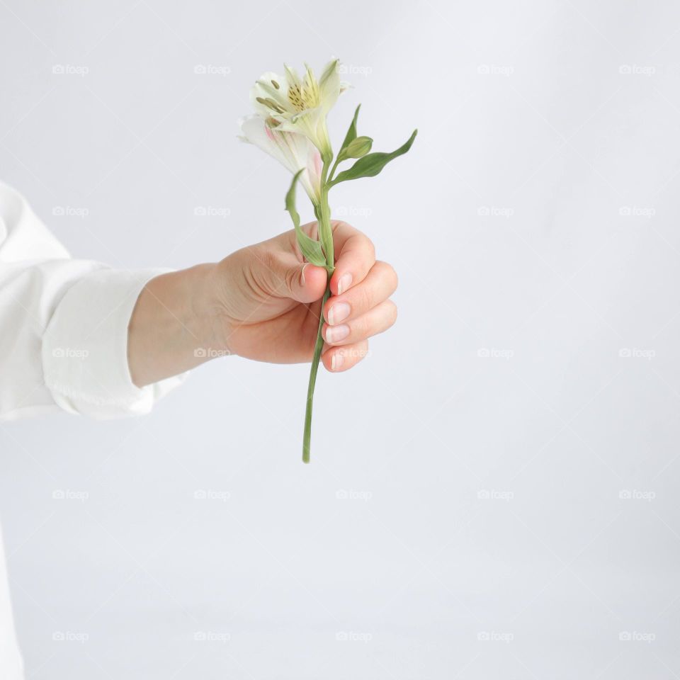 Flower in the hand