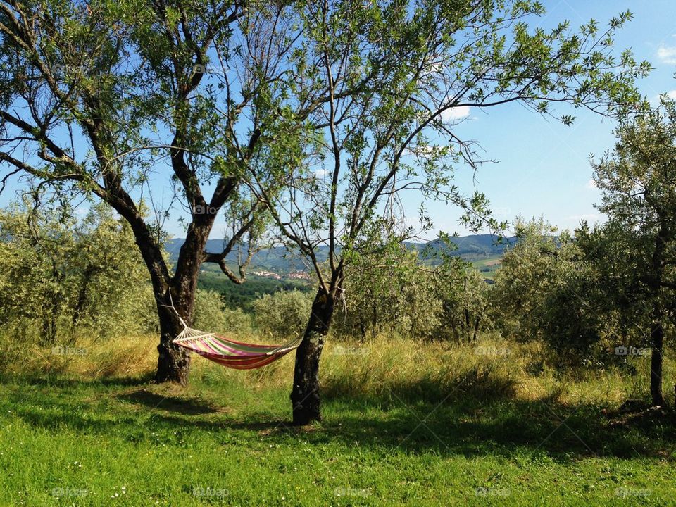 Hammock