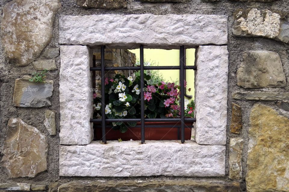 Window