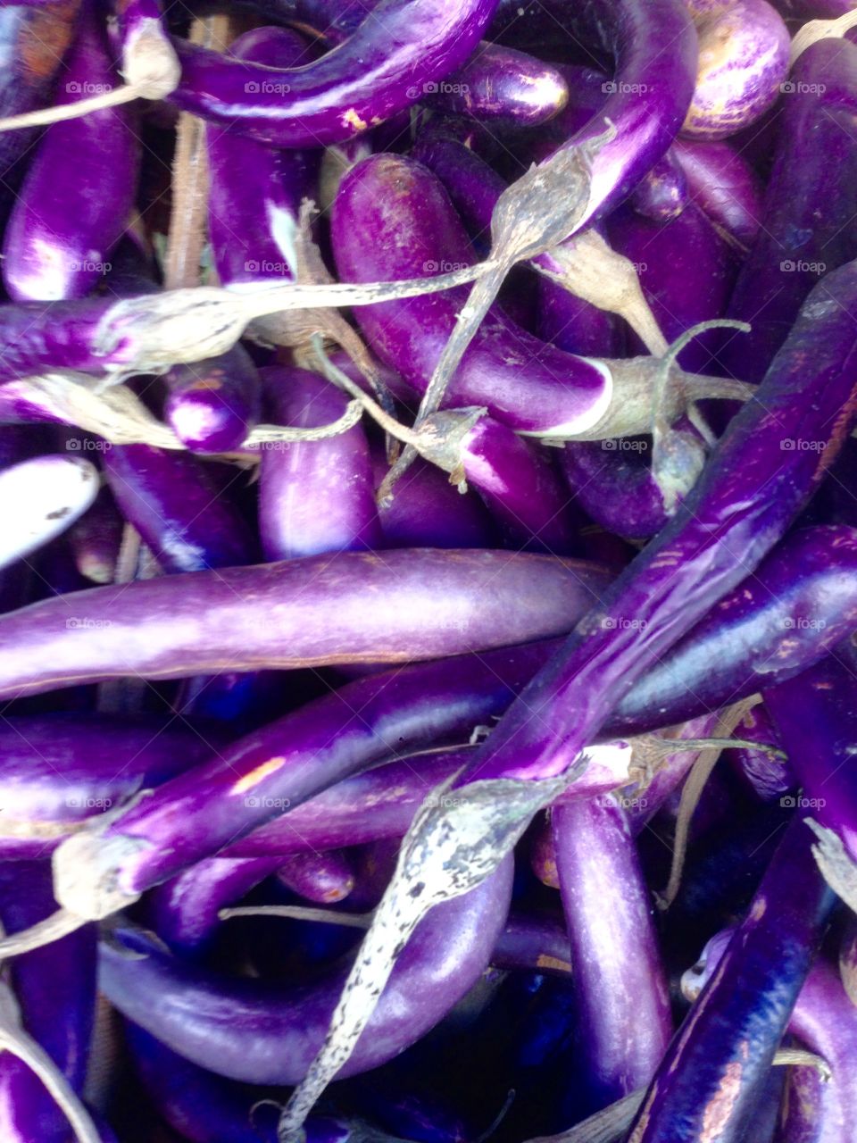 Eggplant aubergine 

