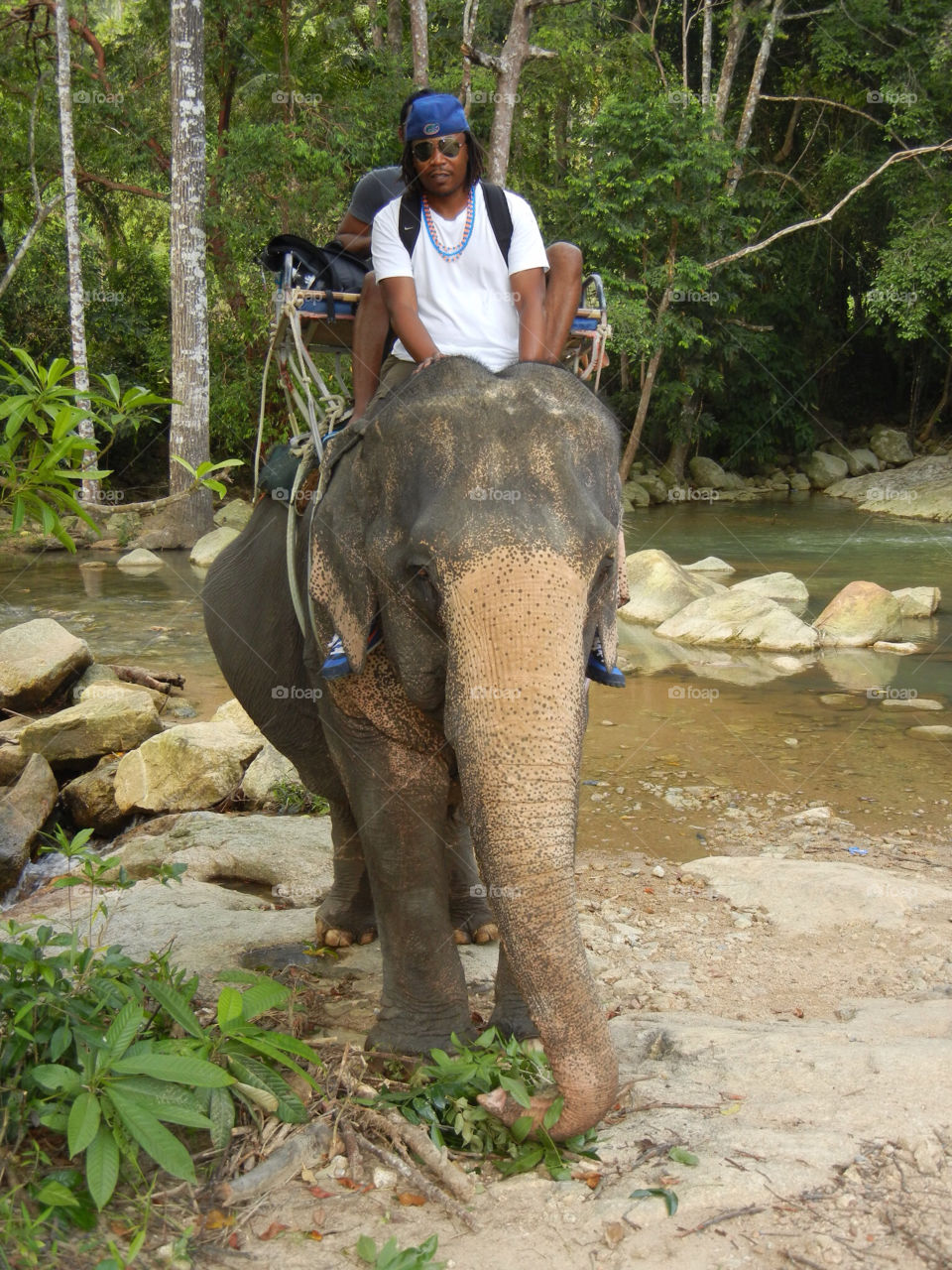 thailand elephant travel trekking by MAUDJACK