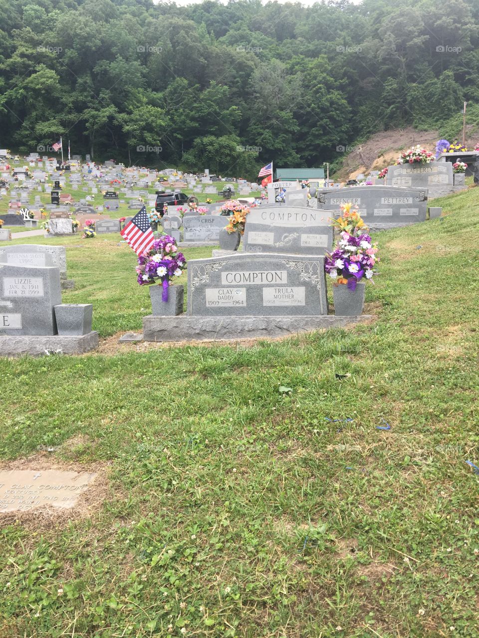 Memorial Day flowers