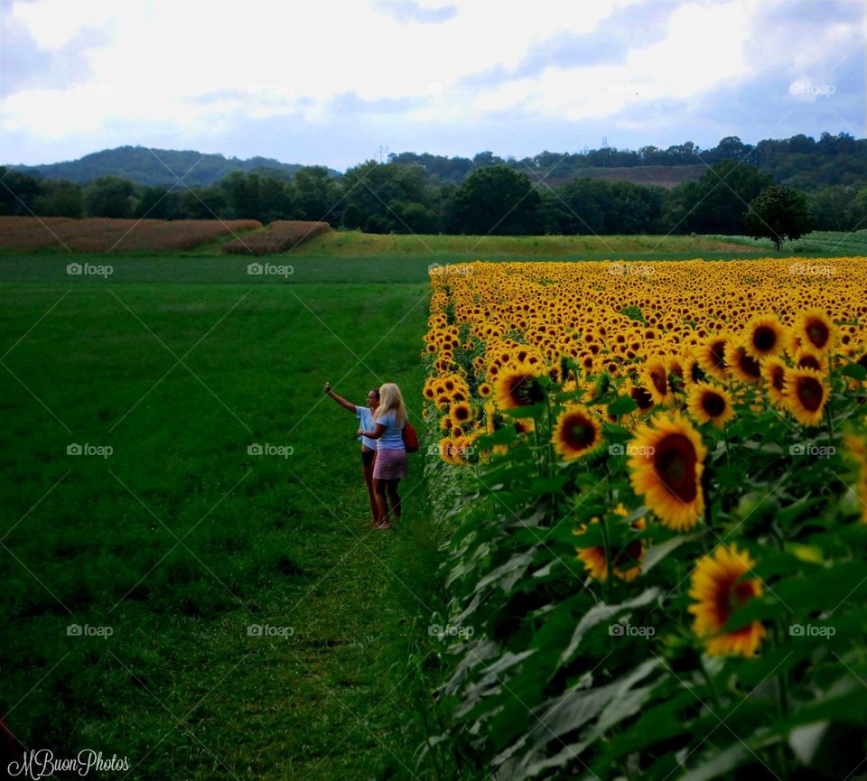 Photos with flowers