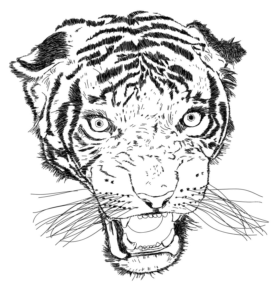 Tiger face illustration