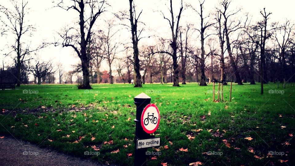 Park no cyclin