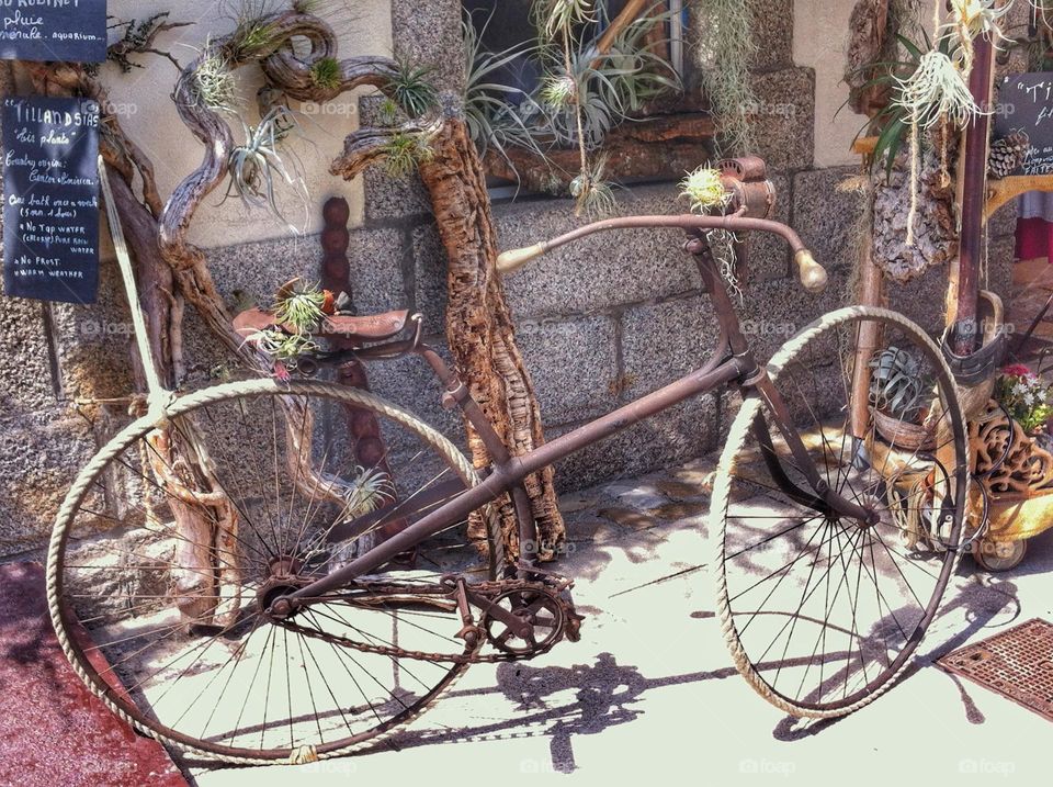 Old bike and flowers