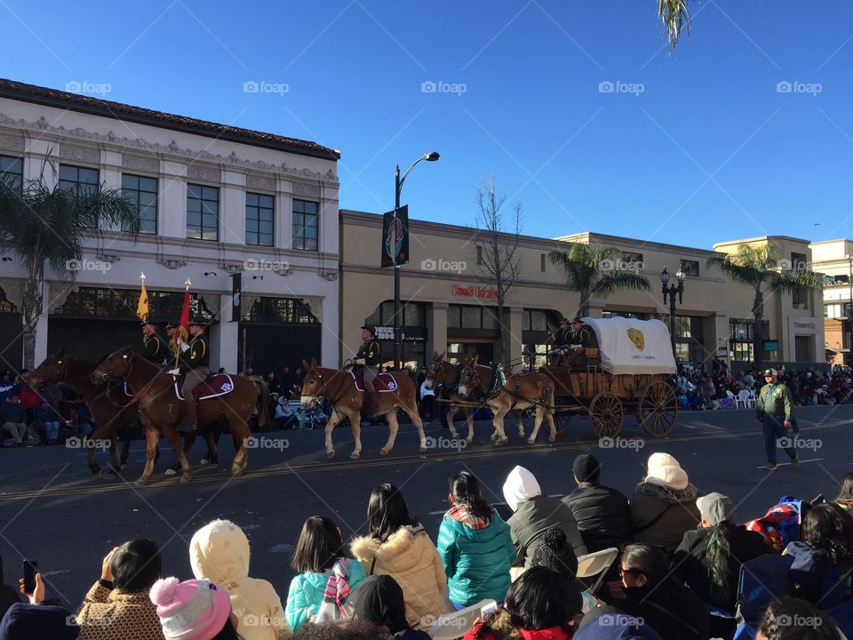 Rose parade
