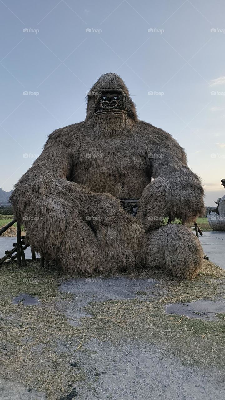 Closeup shot of a beautiful white and black and white monkey with straw background
