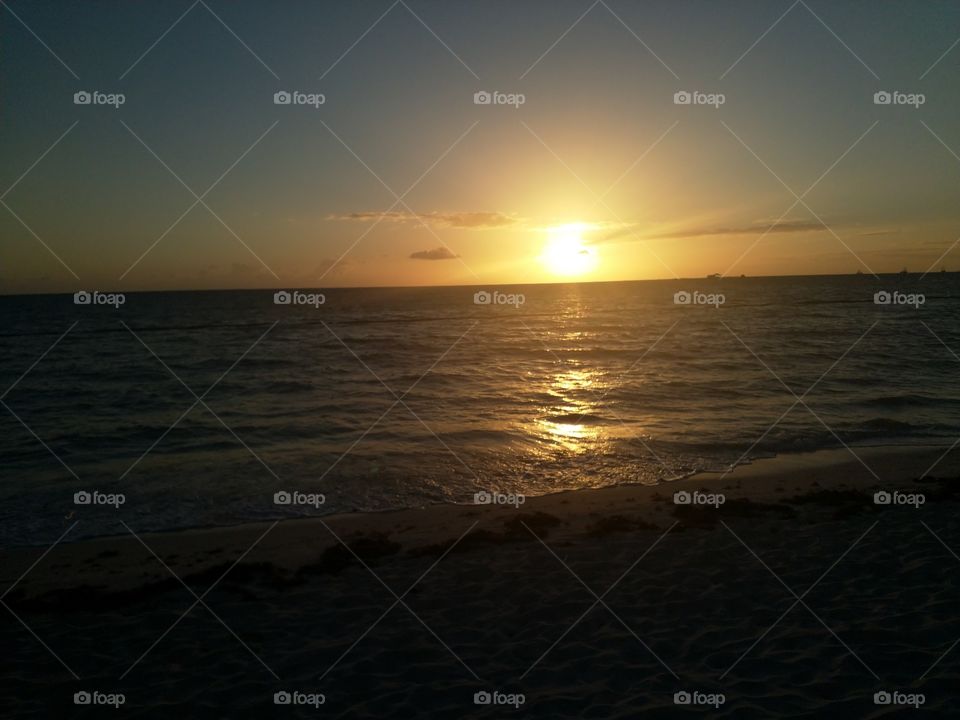 sunset, sea, palm trees, beach, ocean
