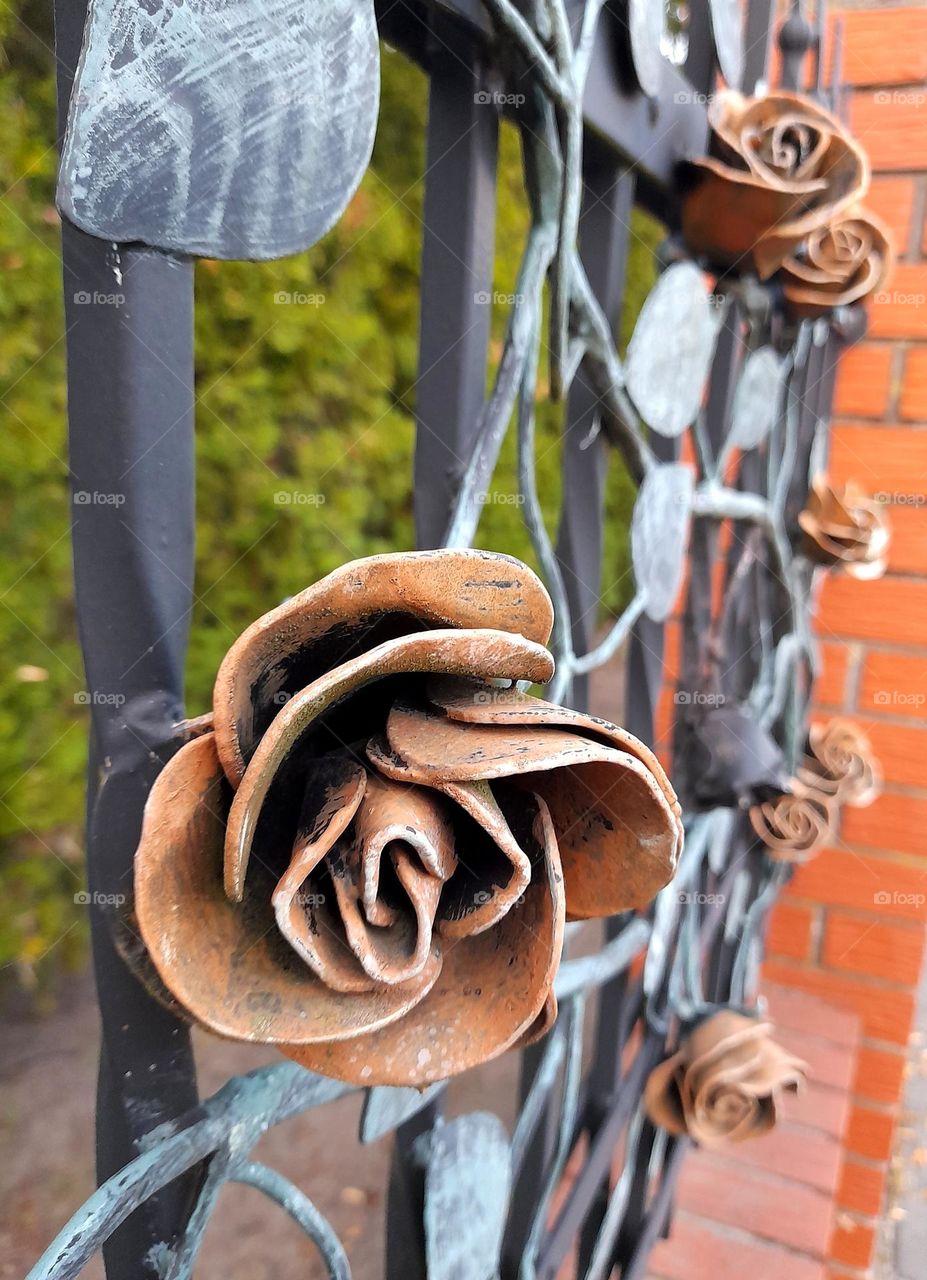 Fence with decorative metal roses.