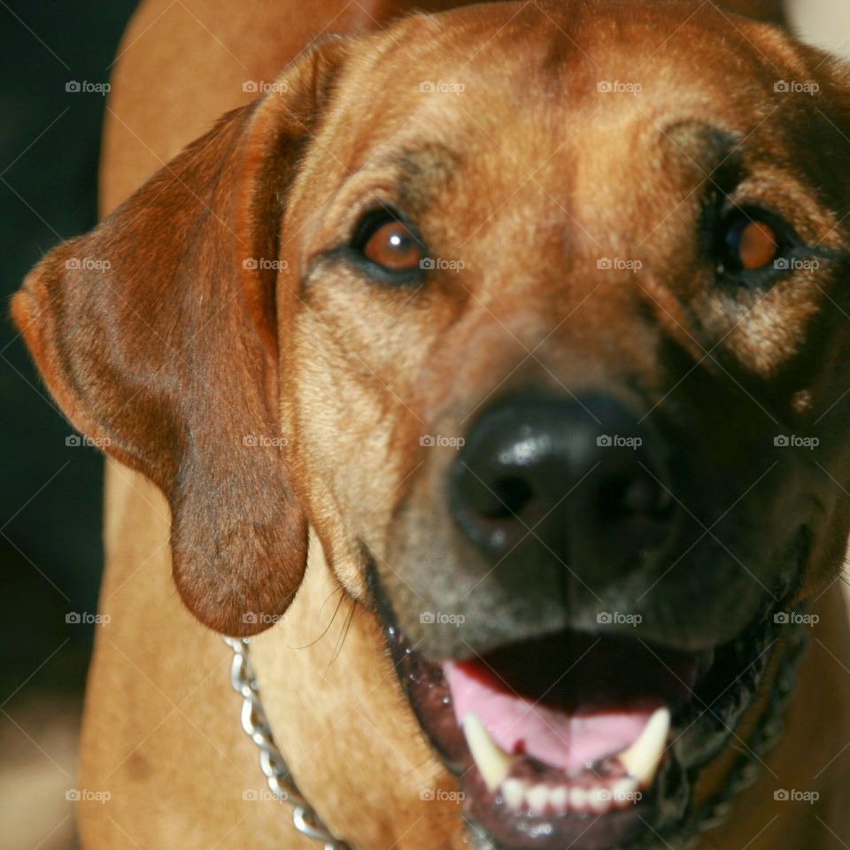 Siren makes me smile because she's always full of joy