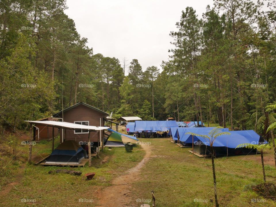 Tents camp in El Cusuco National Park, actually England cientific there were camping