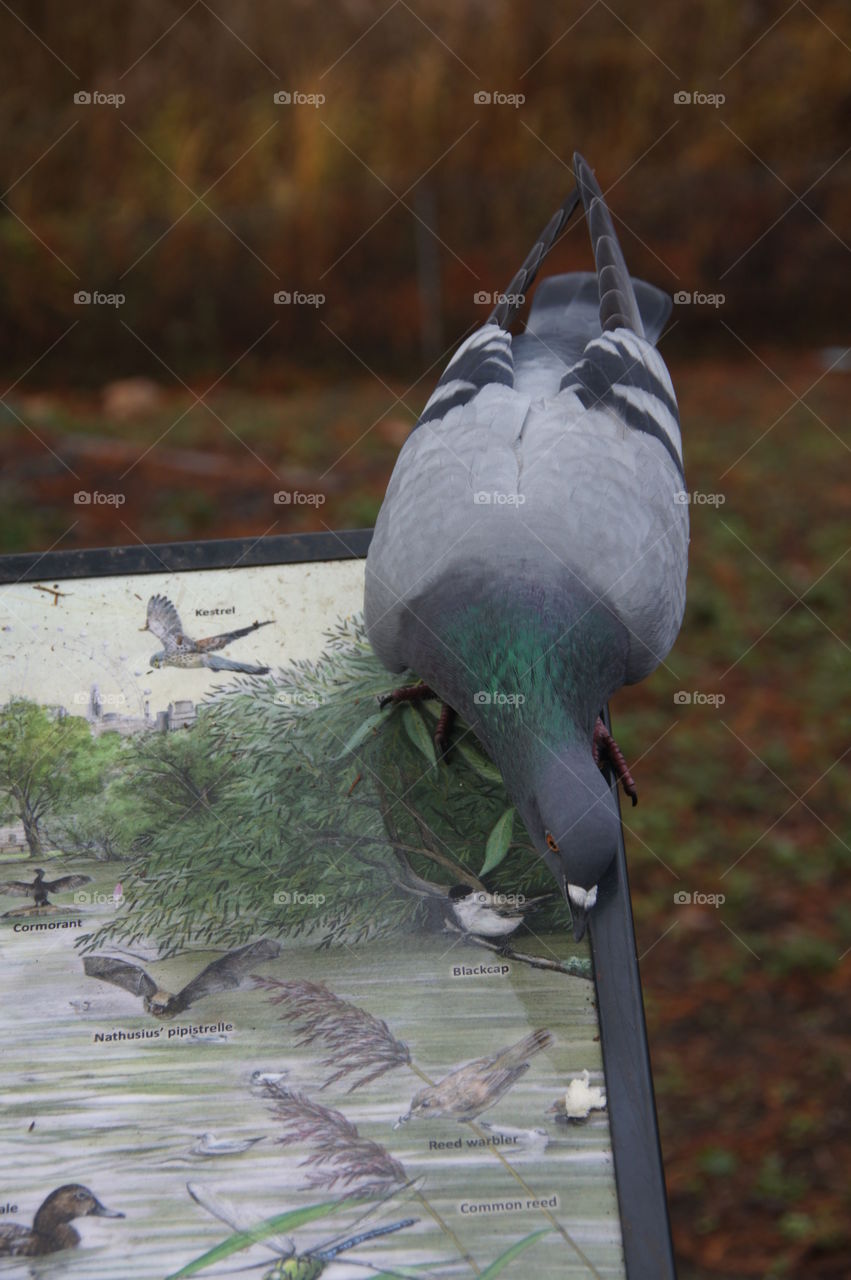 Where are my friends?