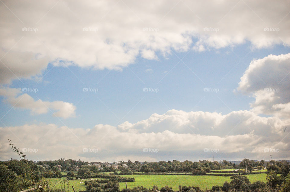 Wallonia's fields