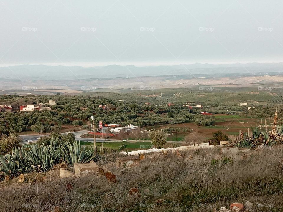 Population between the nature