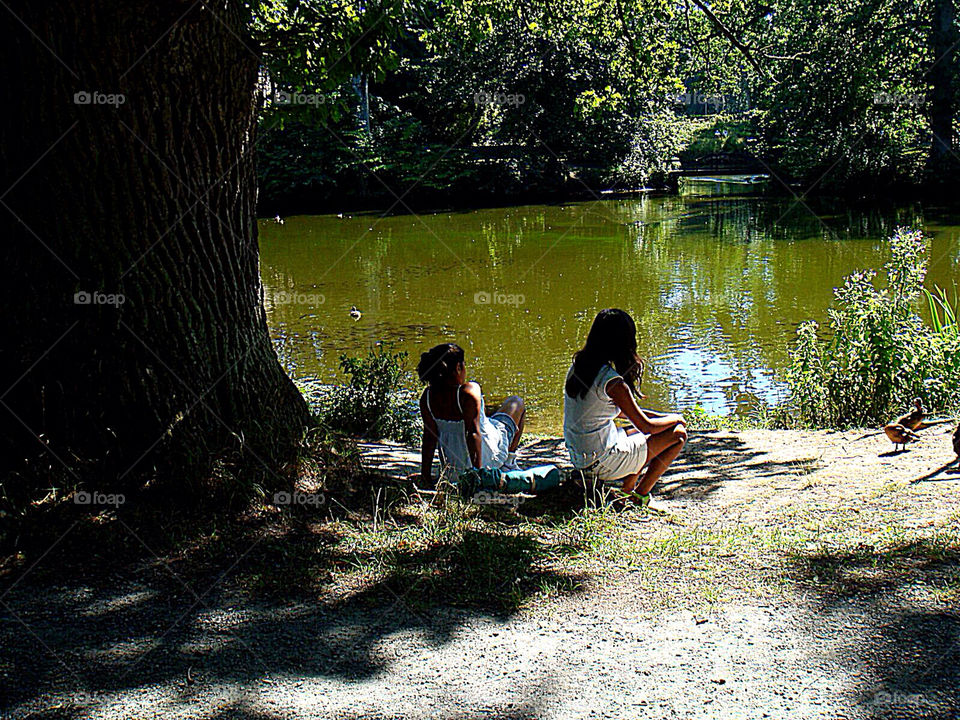 summer forest lake ducks by eksw