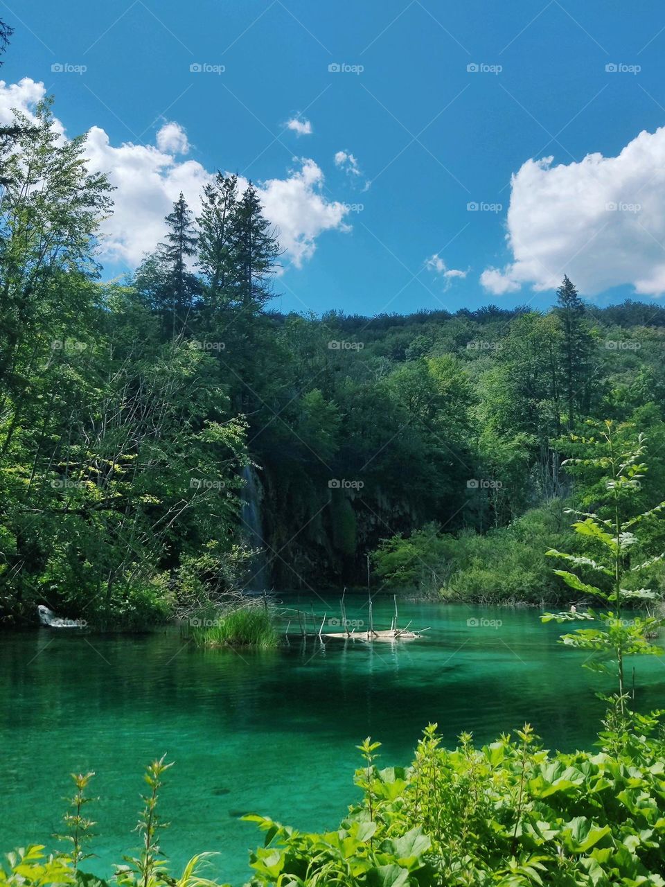 different shades of green 😊