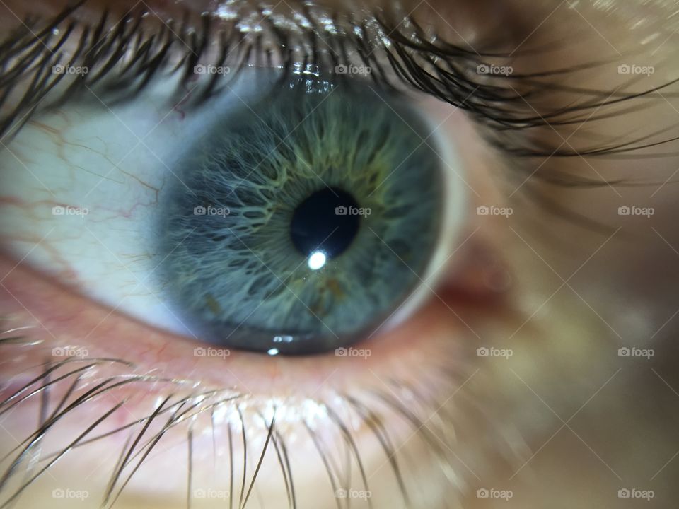 Upclose of a pale blue eye

