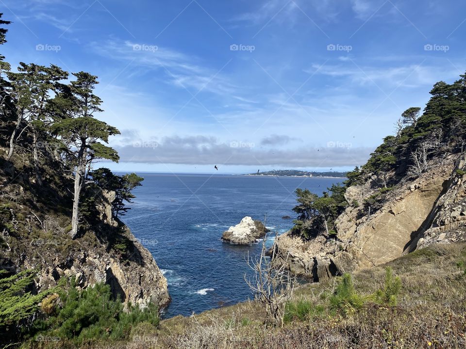 Point Lobos State Natural Reserve