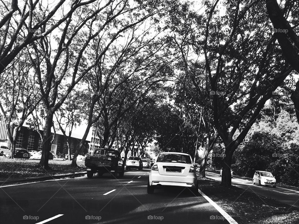 Street of Kota Kinabalu 