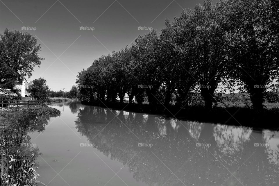 reflection in black and white