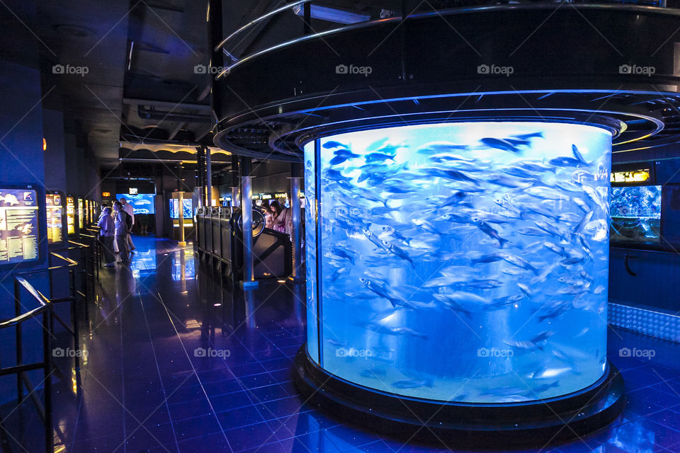 Aquarium in Monaco