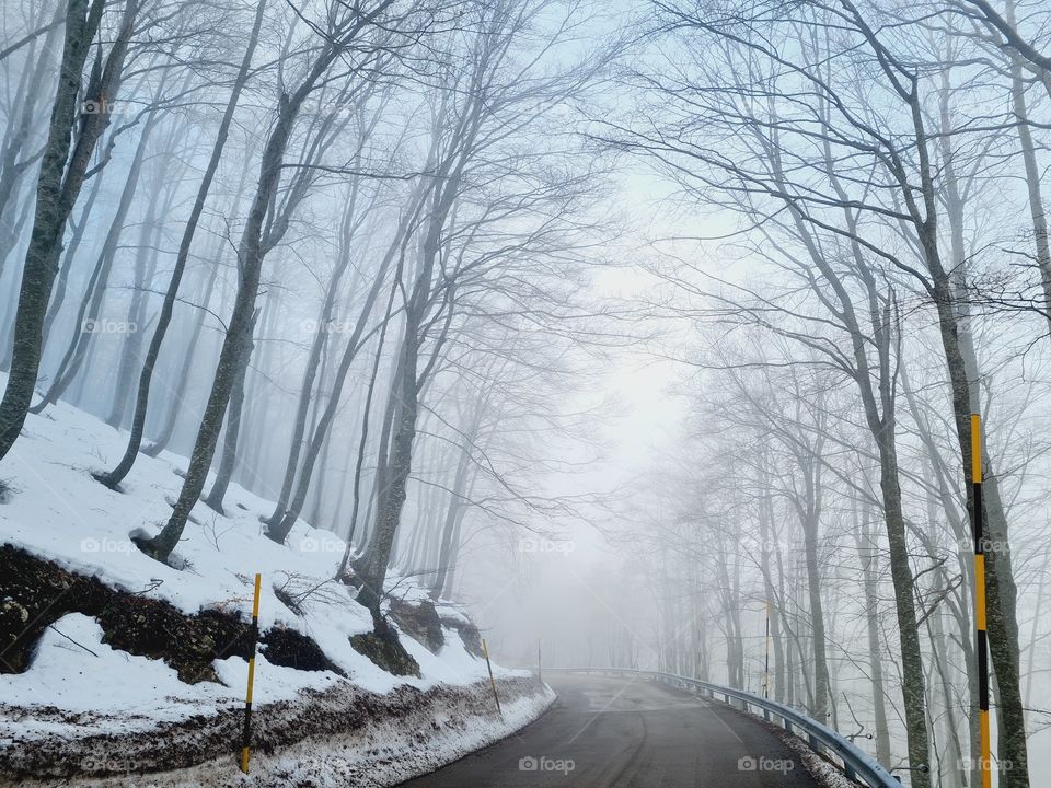snowy mountain road with poor visibility due to fog