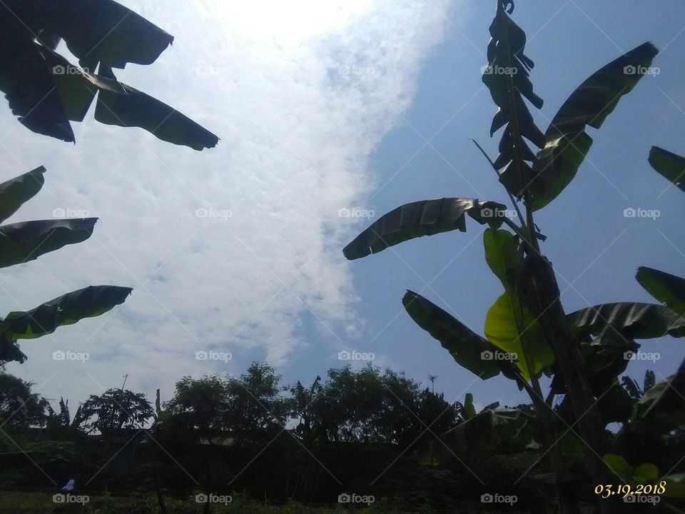 Sky n nature
