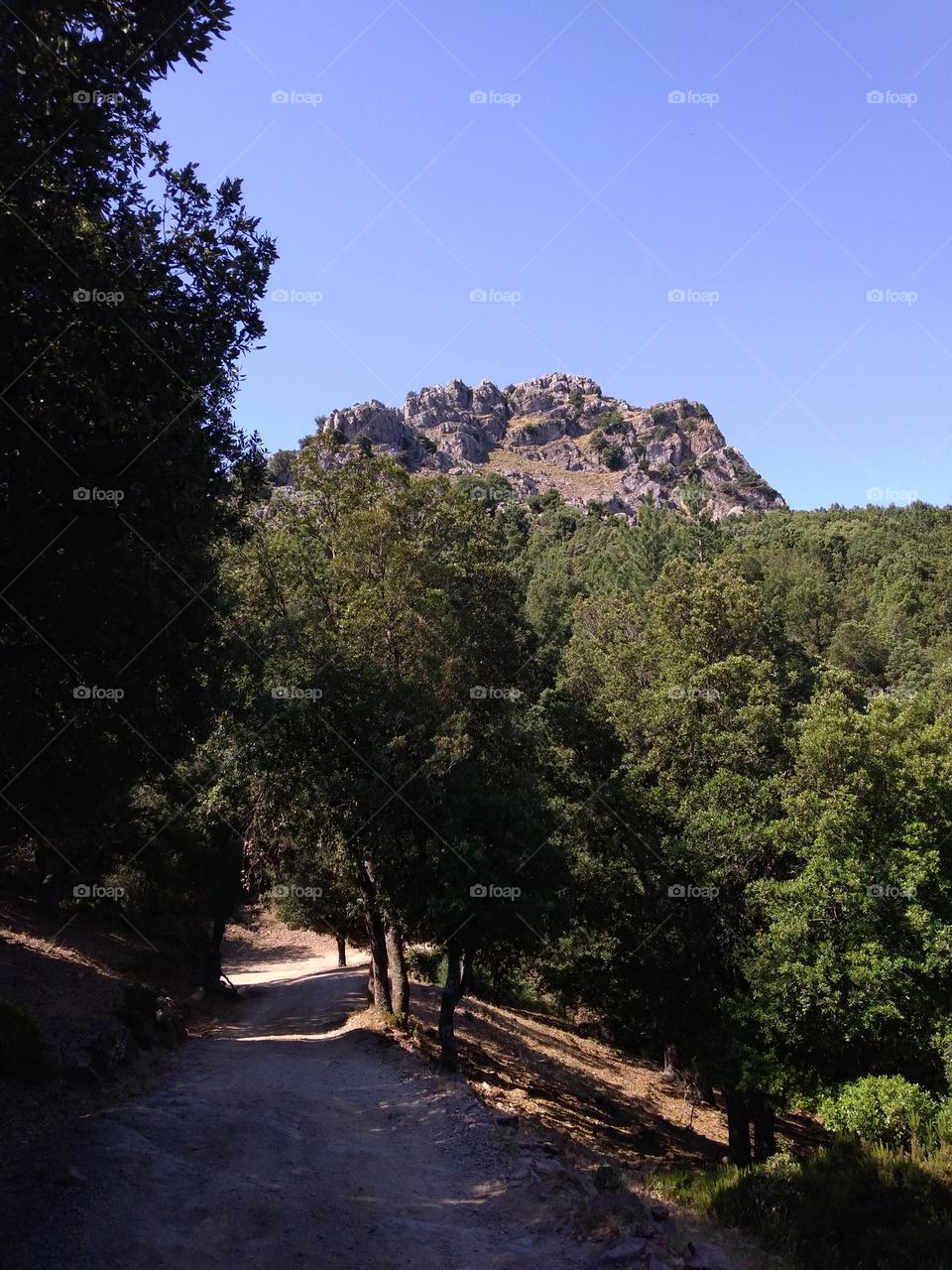 Battle: Countryside vs City