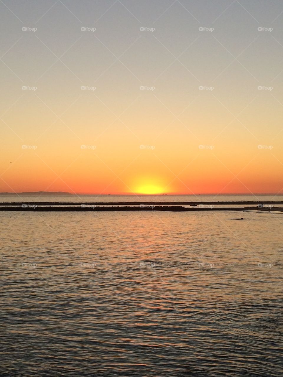Corona Del Mar~Tide Pool