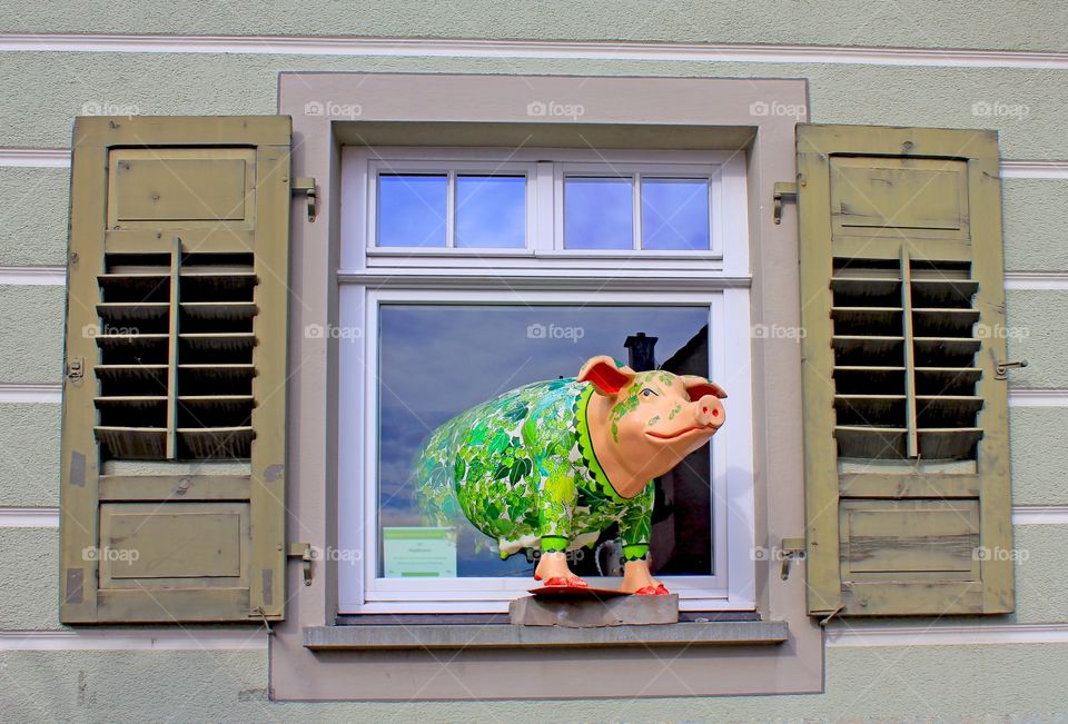 Piggy model show on window