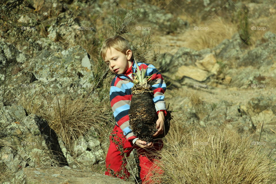 child carrying a large plant in his arms