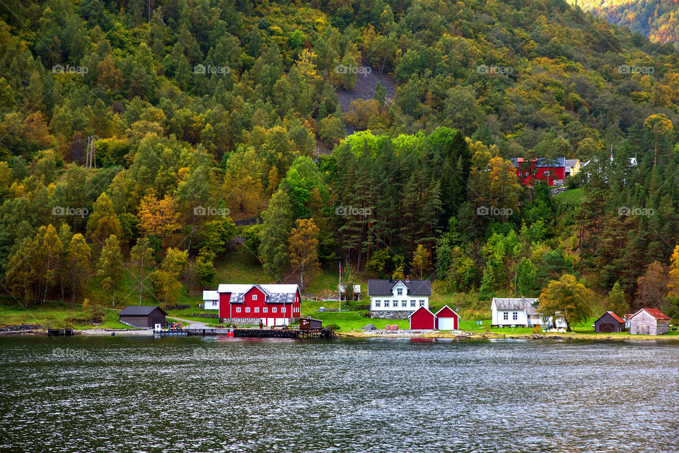 Houses in Norway on fjord