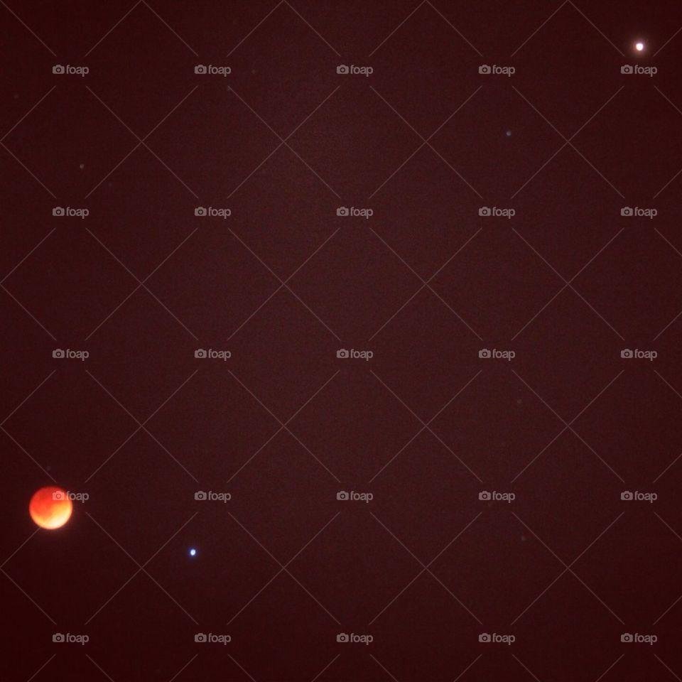 Blood Moon
