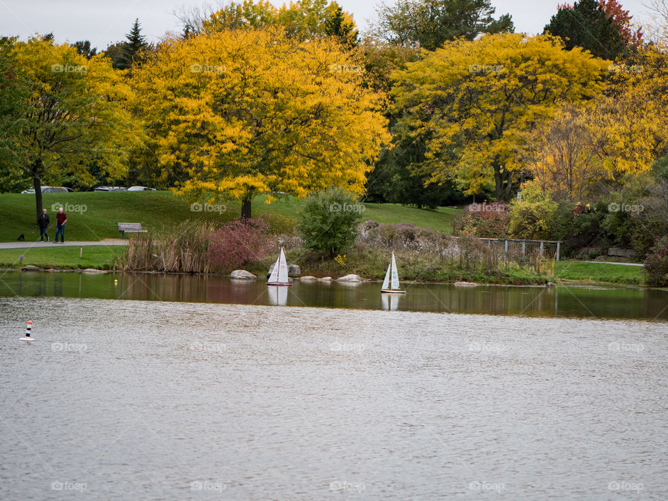 Two collectible yachts on a pond