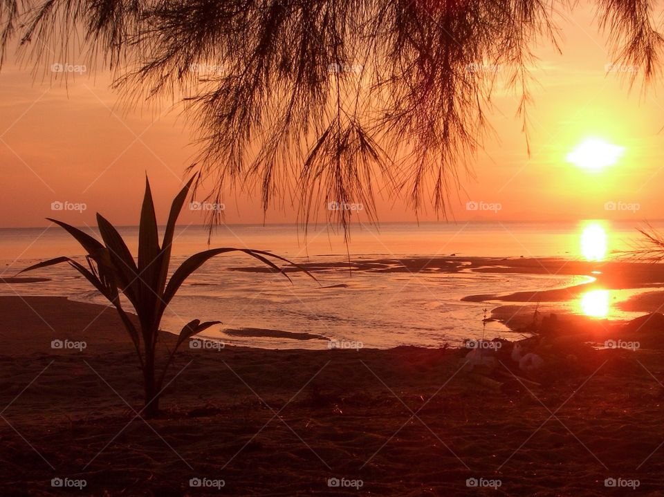 Golden light. Sunset at Koh Samui island. Thailand