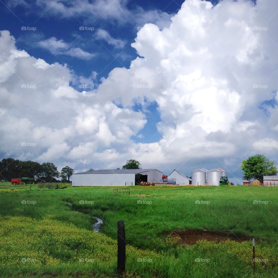 On the Farm