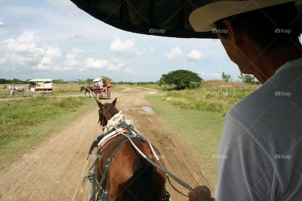 Horse wagon ride