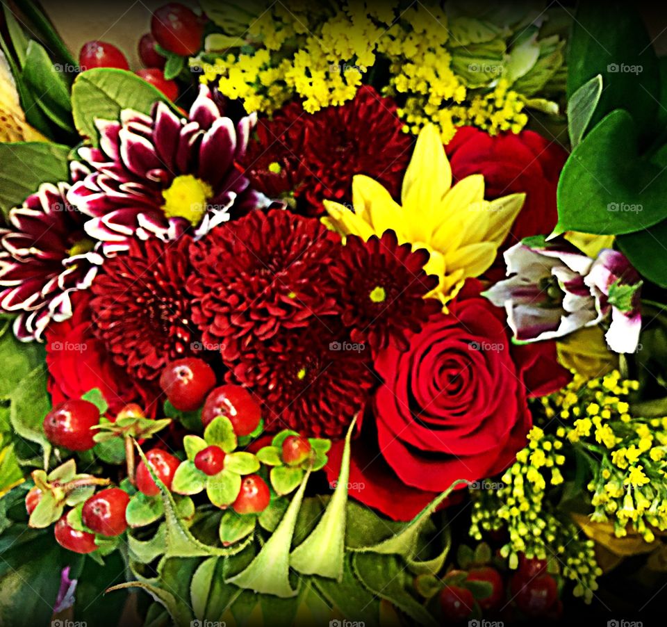 Flower bouquet . Festive flower bouquet 