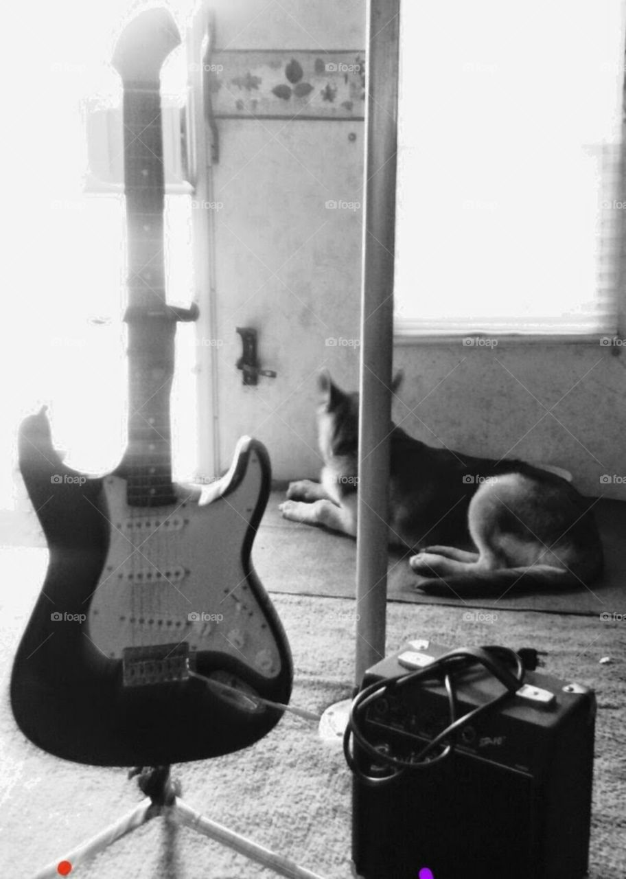 still photo taken with my  3 favorite things my dog, my camera, my guitar